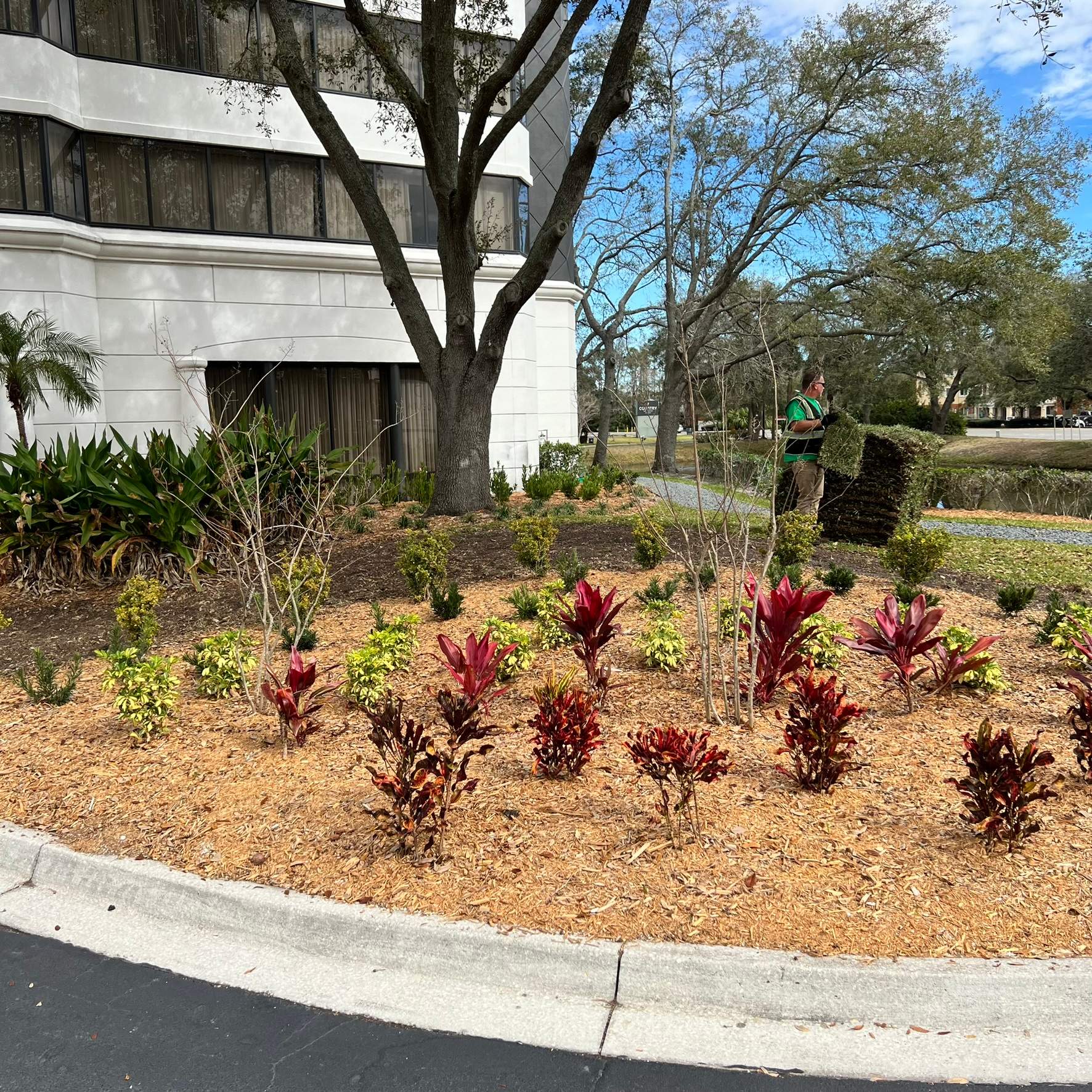 Landscape Install | Marriott Hotel by ProGreen Services