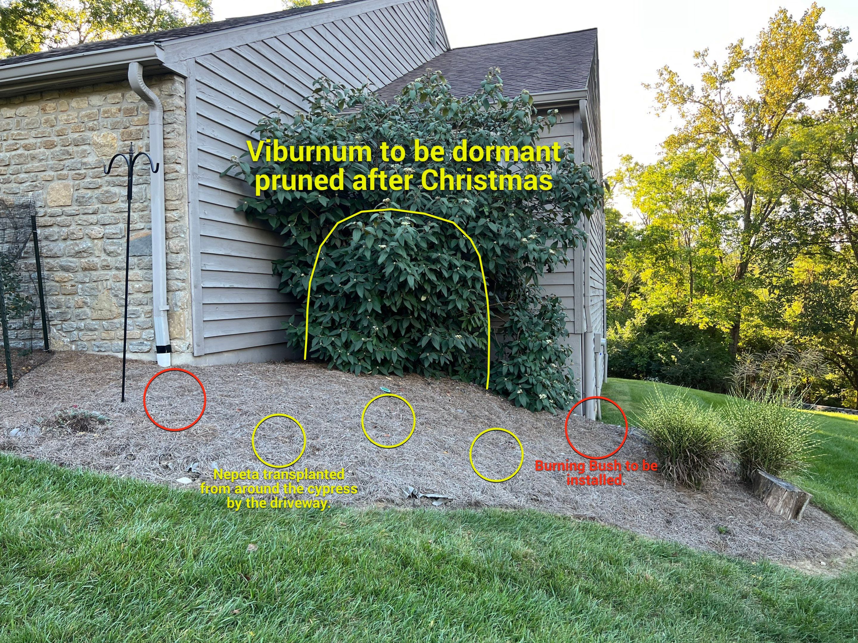 Spring Clean Up using Pine Straw by Reisenberg’s Lawn & Landscape, LLC