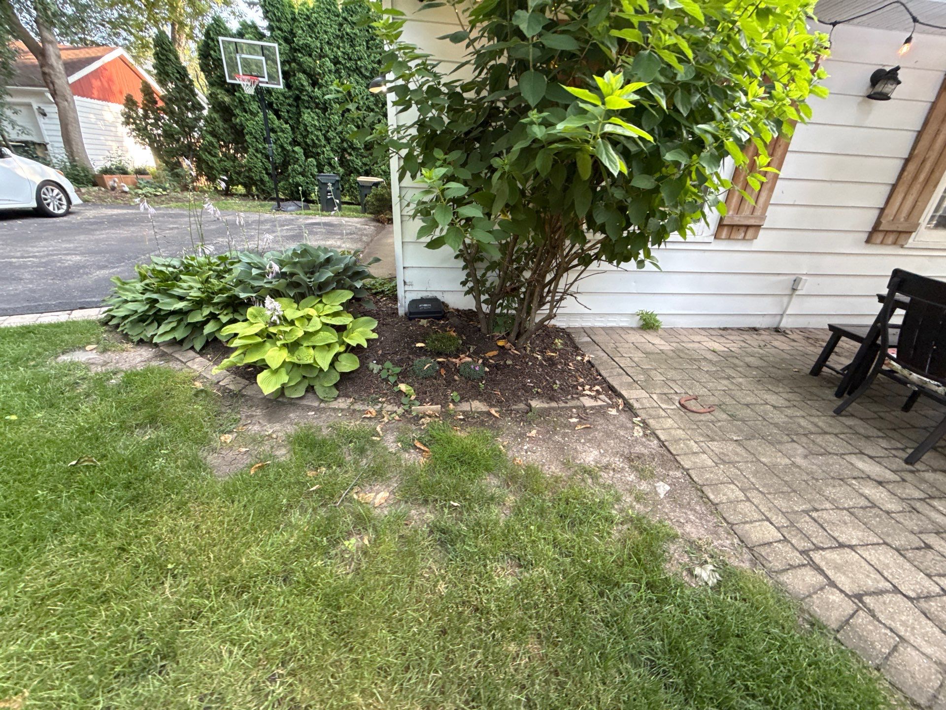 Lisa A. - Arlington Heights, IL by A&N
