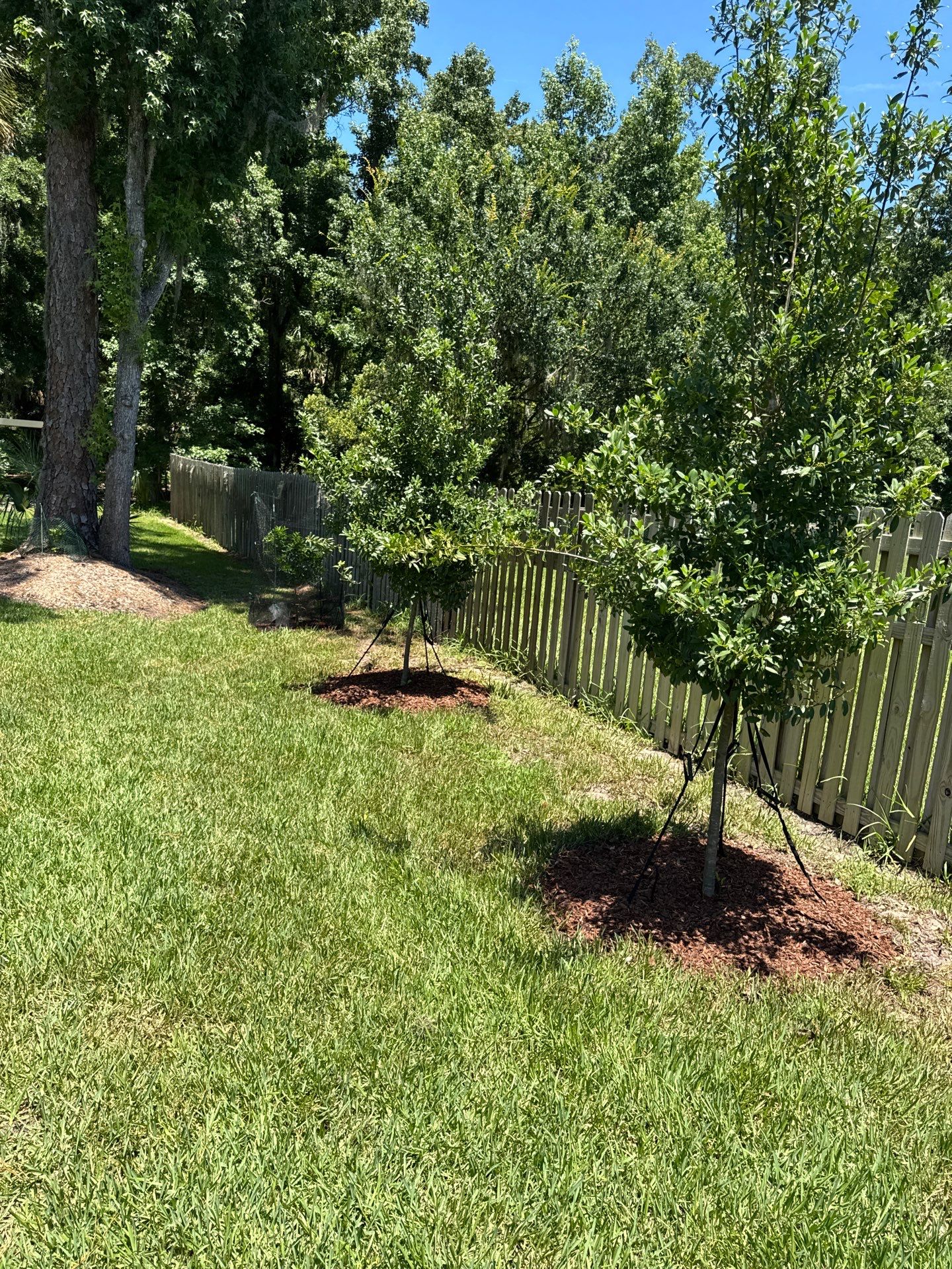 Deerwood Resident | Pine Bark Install & Clean-Up by ProGreen Services
