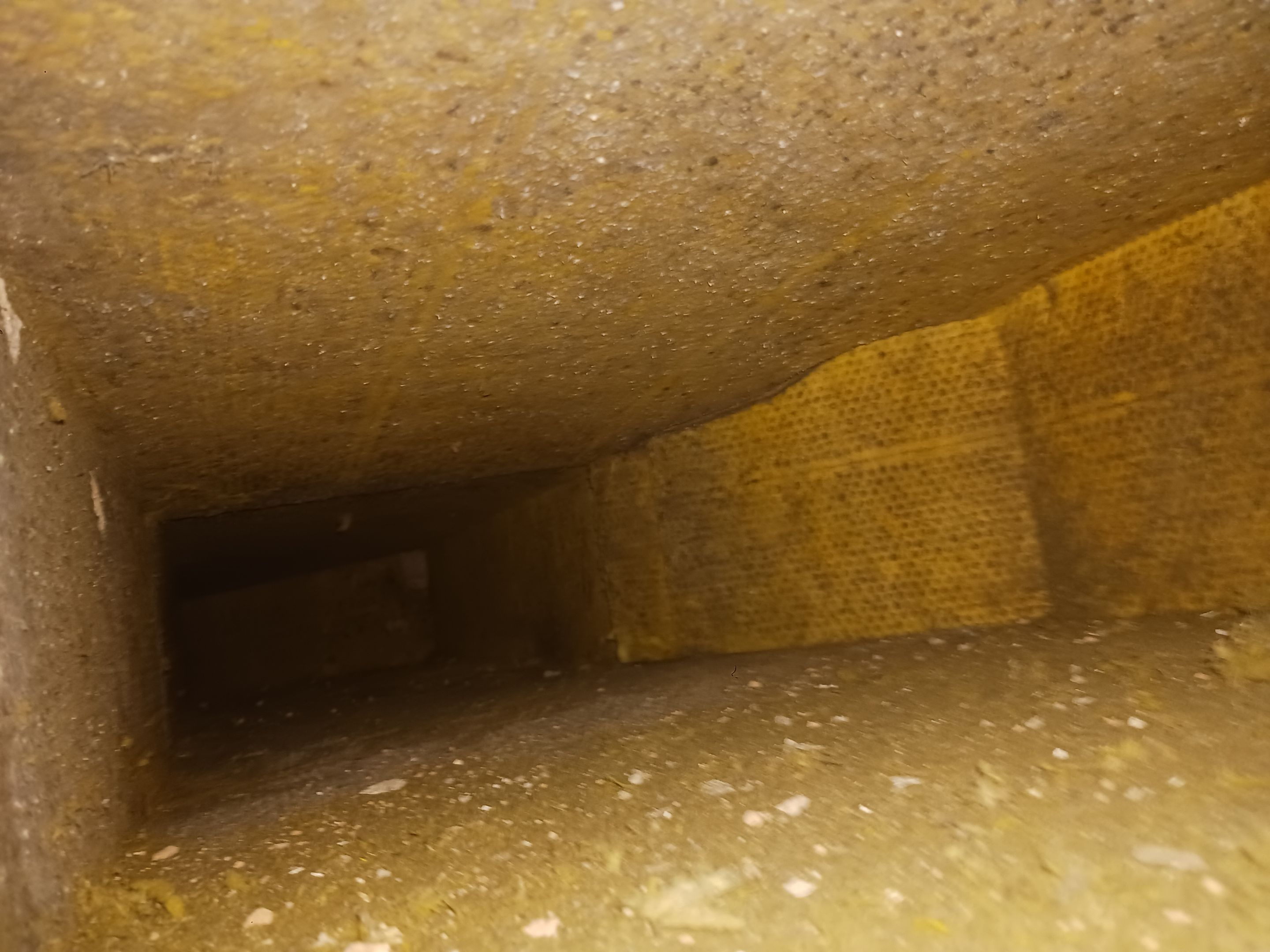 Commercial Air Duct Cleaning in Leesburg by Hygienic Air, Inc
