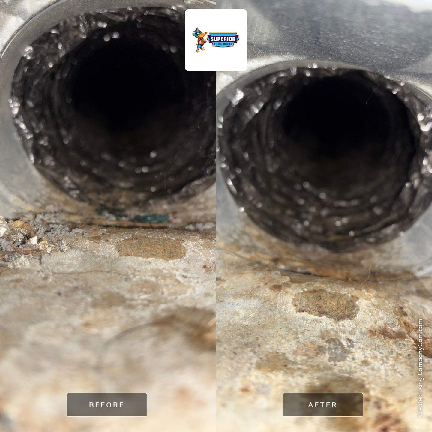 Comprehensive Air Duct Cleaning for Rochester Manufactured Home by Superior Air Duct Cleaning