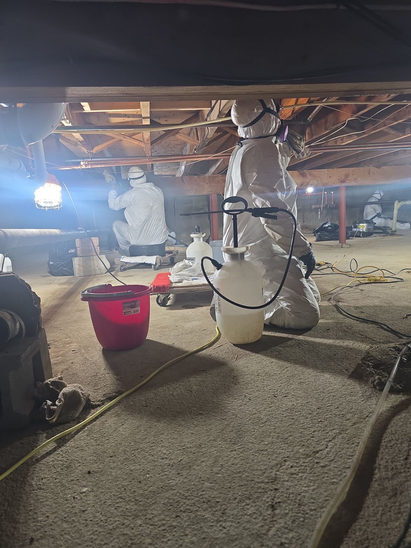 Crawlspace Water Mitigation and Structural Mold Remediation in Port Jefferson by EMS Restoration Corp