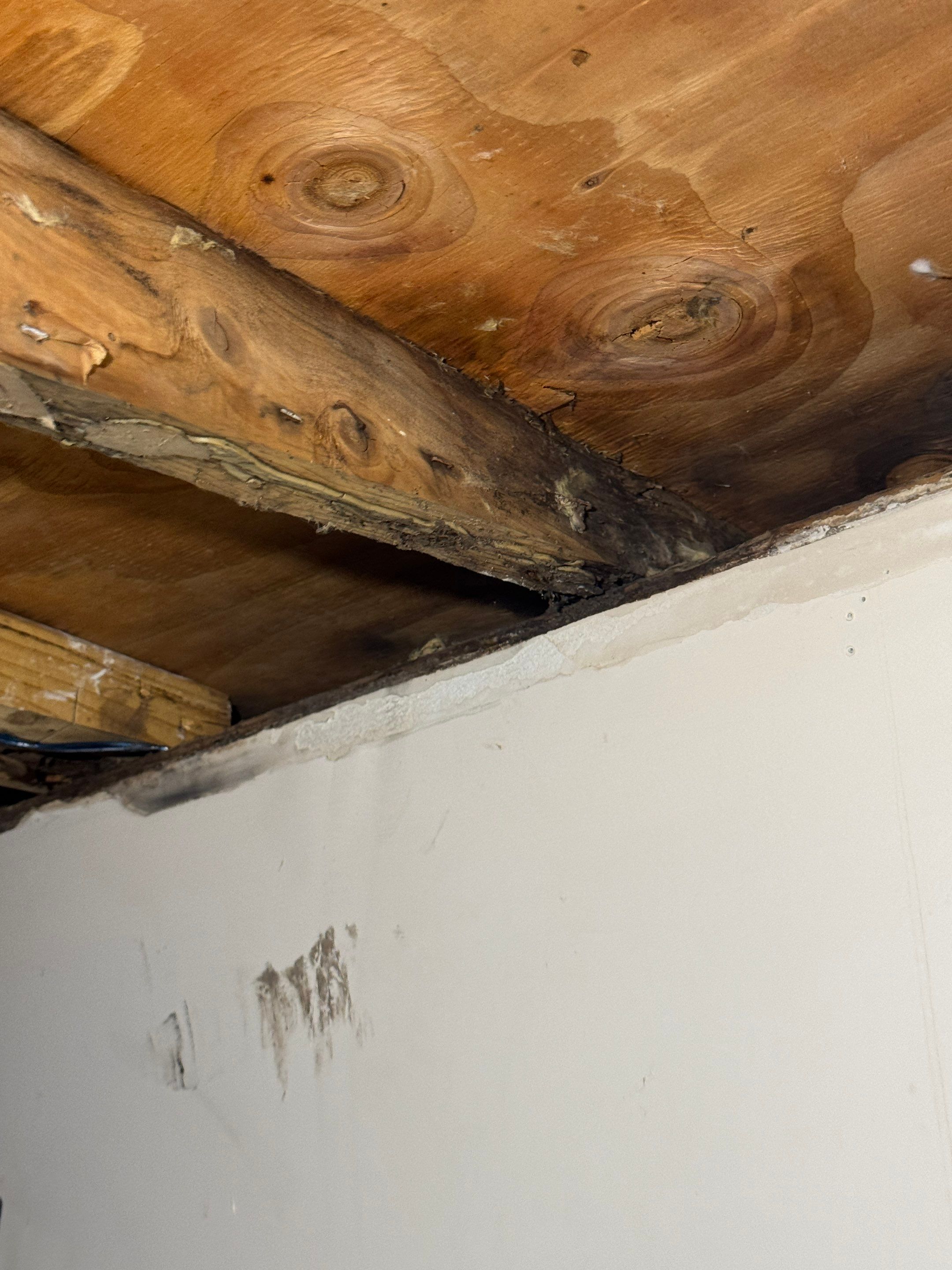 Water Damage Claim in Doylestown by FLAPA & KeyStone