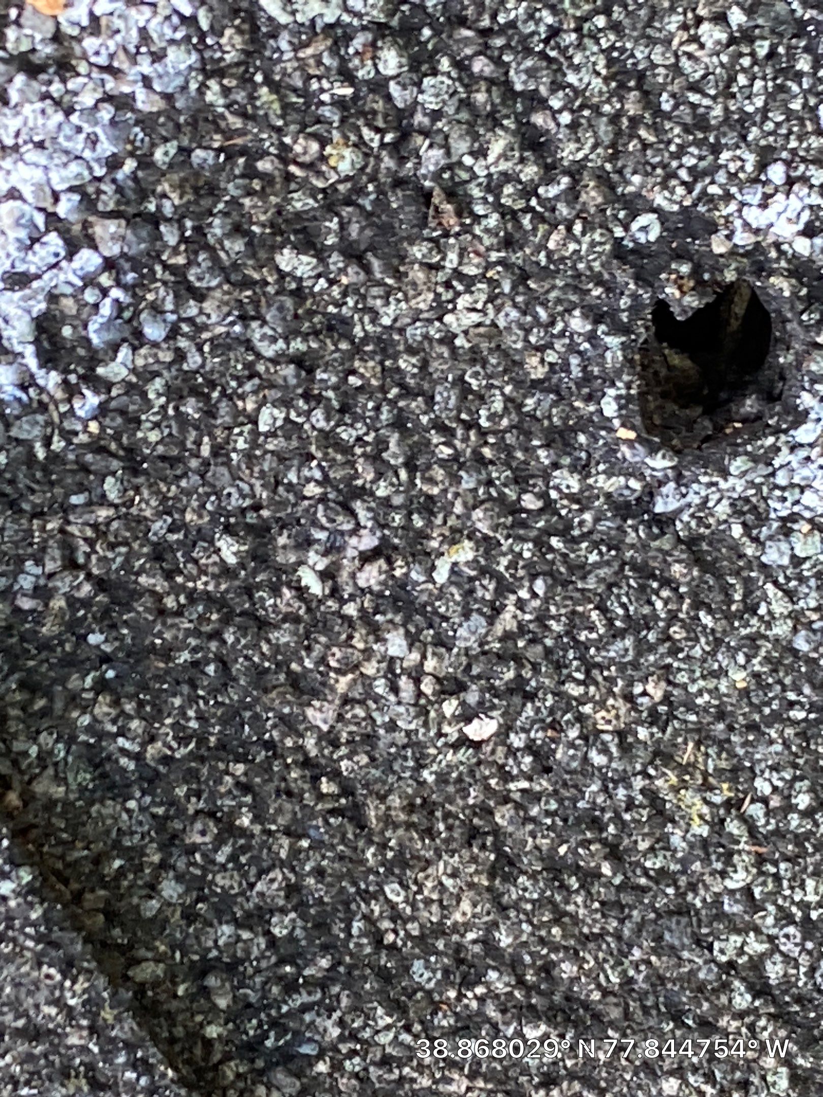 Marshall Roofing Project - Landmark Pro Max Def Pewterwood Designer Shingles by RM Banning, Inc.