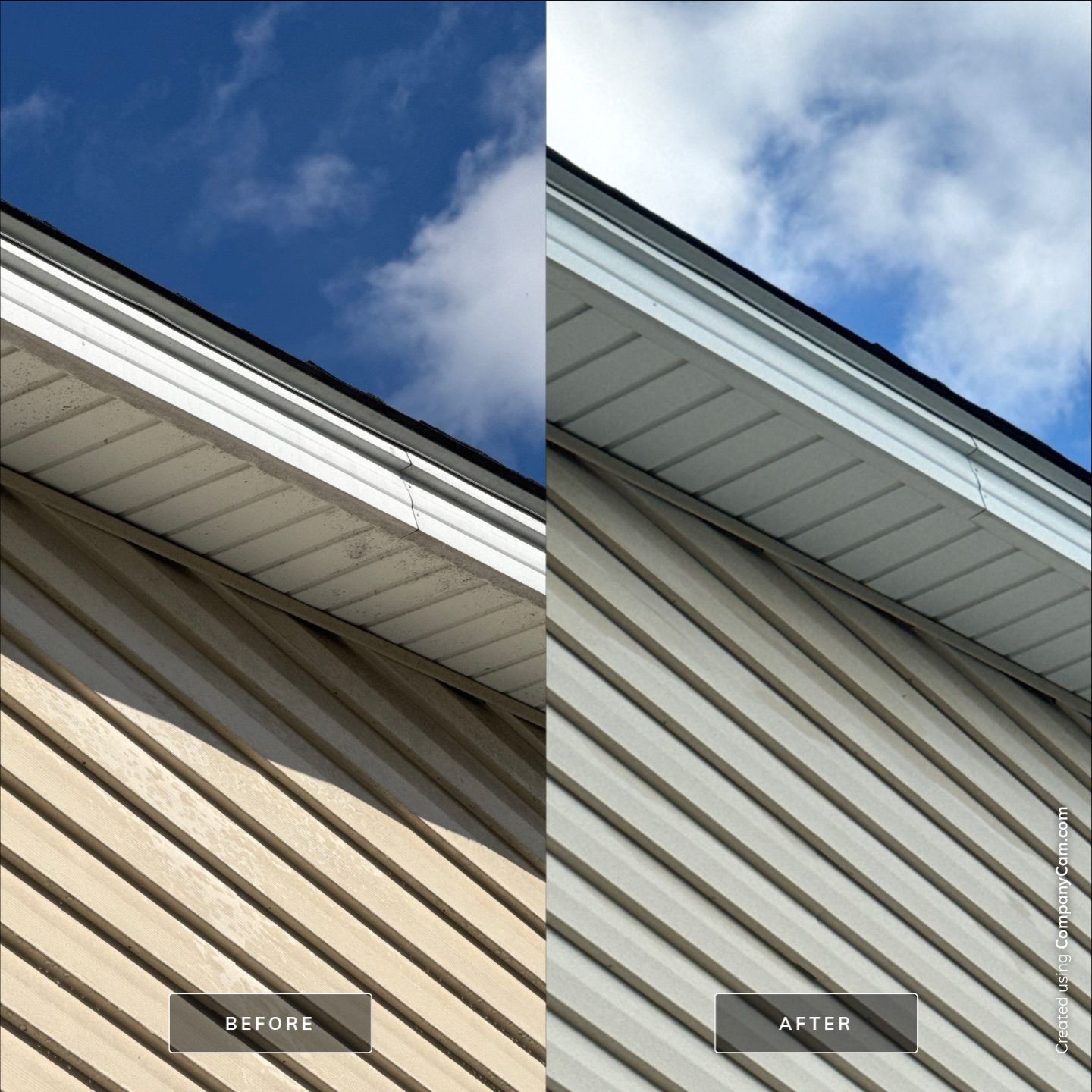 Project in Mt Prospect by Simmons Power & Soft Washing