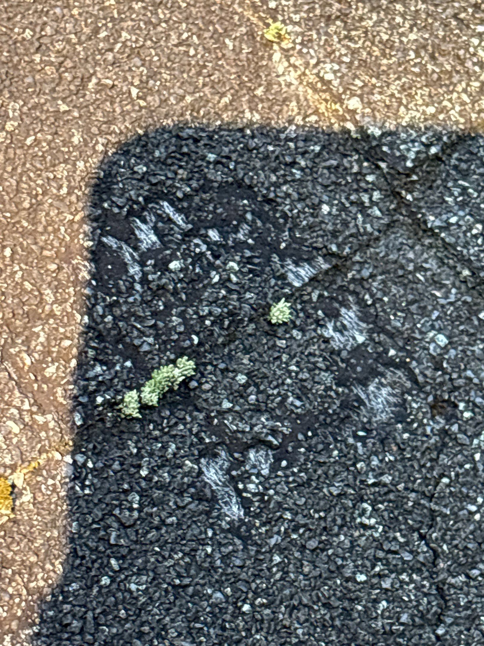 Roof Replacement using Owens Corning Chateau Green by 180 Contractors