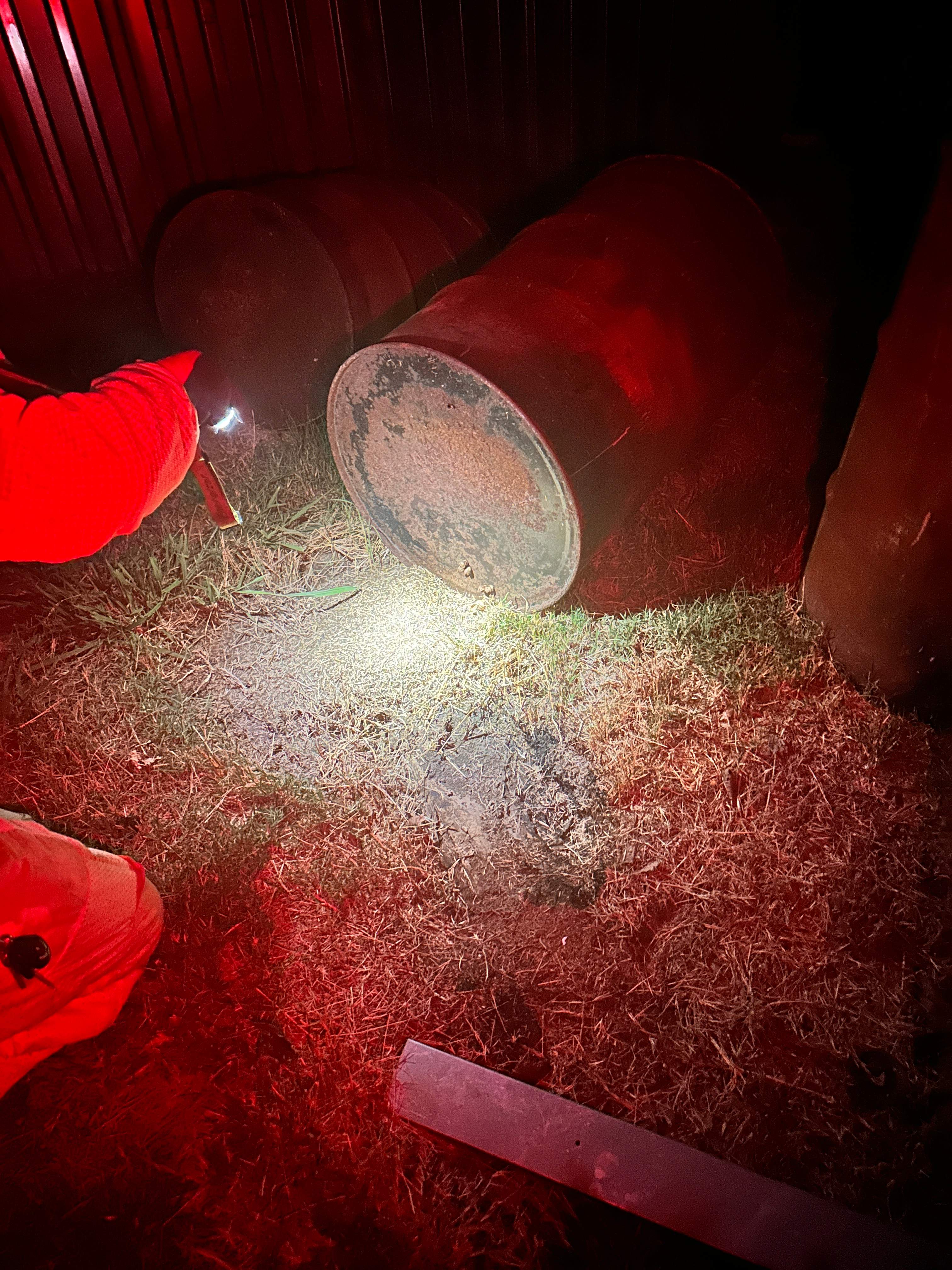 Bumblebees! by Rockwall Honey Bee Company