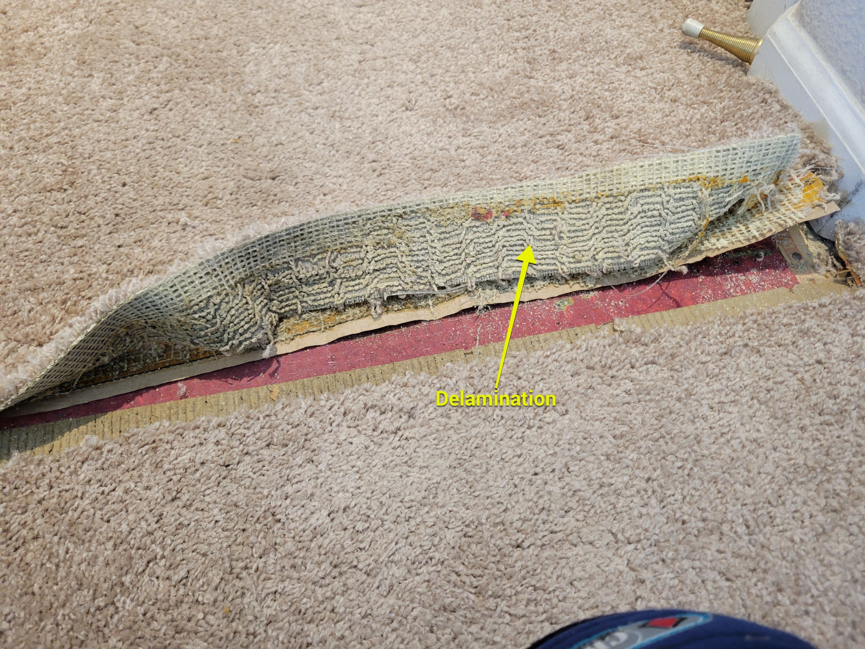 Carpet Re-stretching and Corrective Repair by Ardent Carpet Restore LLC