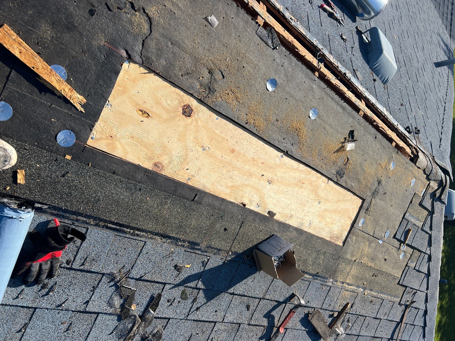 Let My Attic Breathe!!!!! by Bayfront Roofing and Construction
