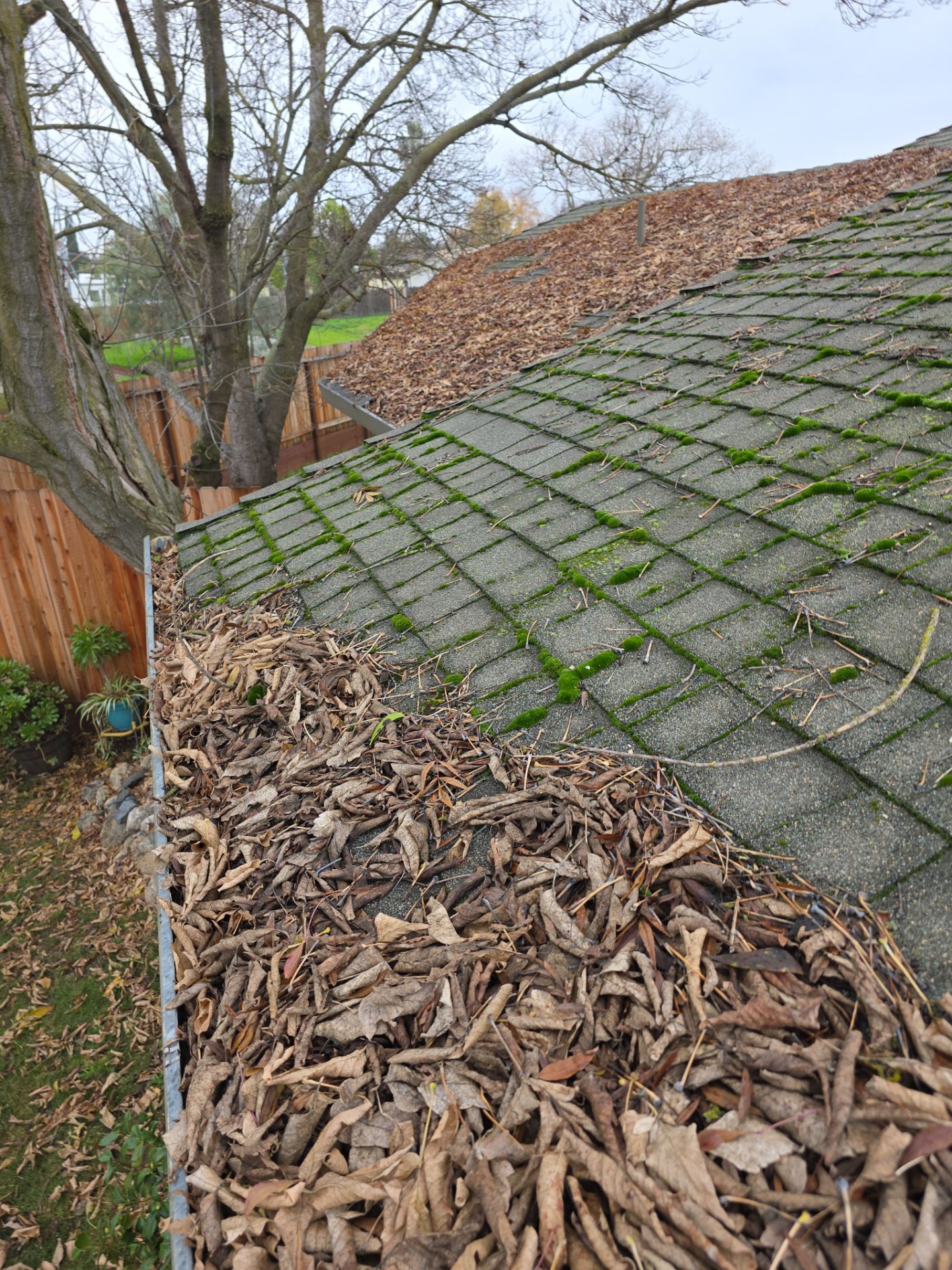 Roof Rejuvenation using Roof Maxx Treatment by Roof Maxx of Folsom