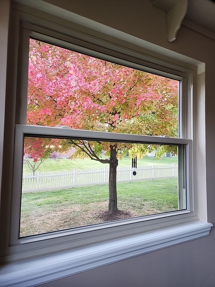 Roof and Windows! by Tamlin Roofing