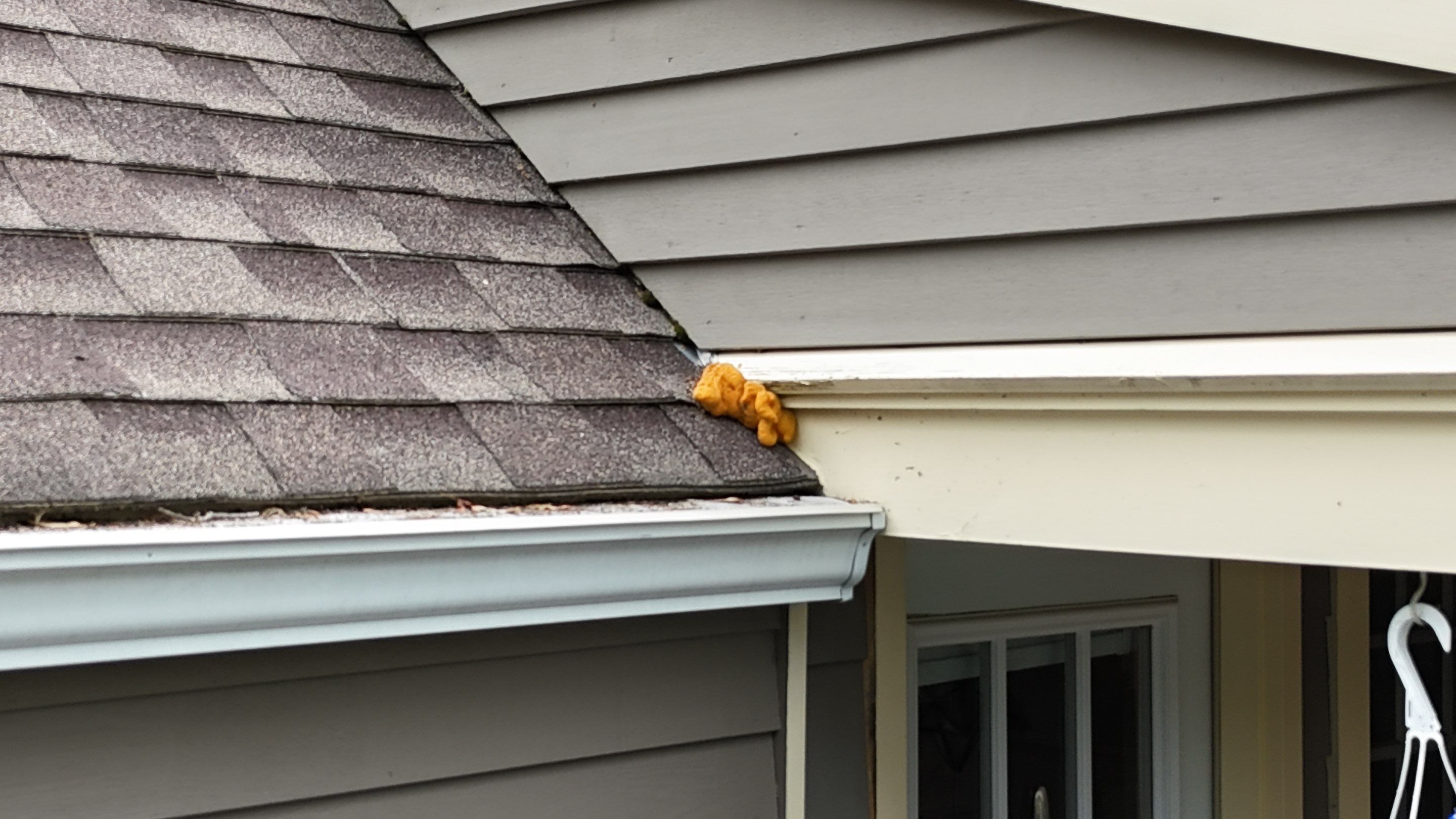 Roofing | Maynard  by Mighty Dog Roofing of Greater Middlesex County