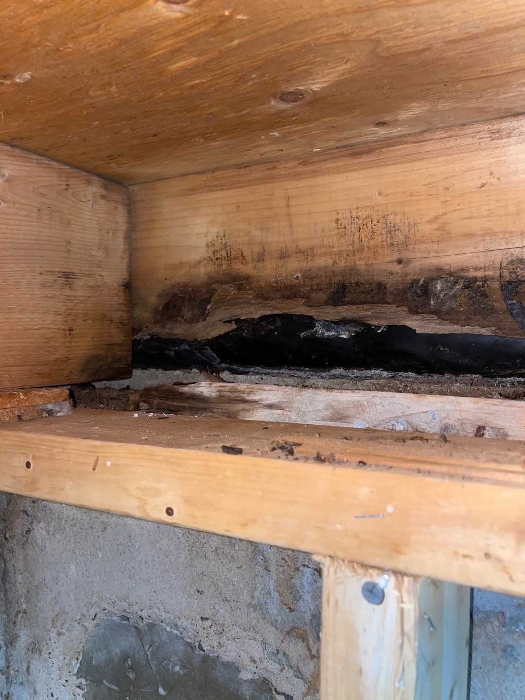 Demolition after Infra-red inspection  by Eco-Nature Construction Inc.