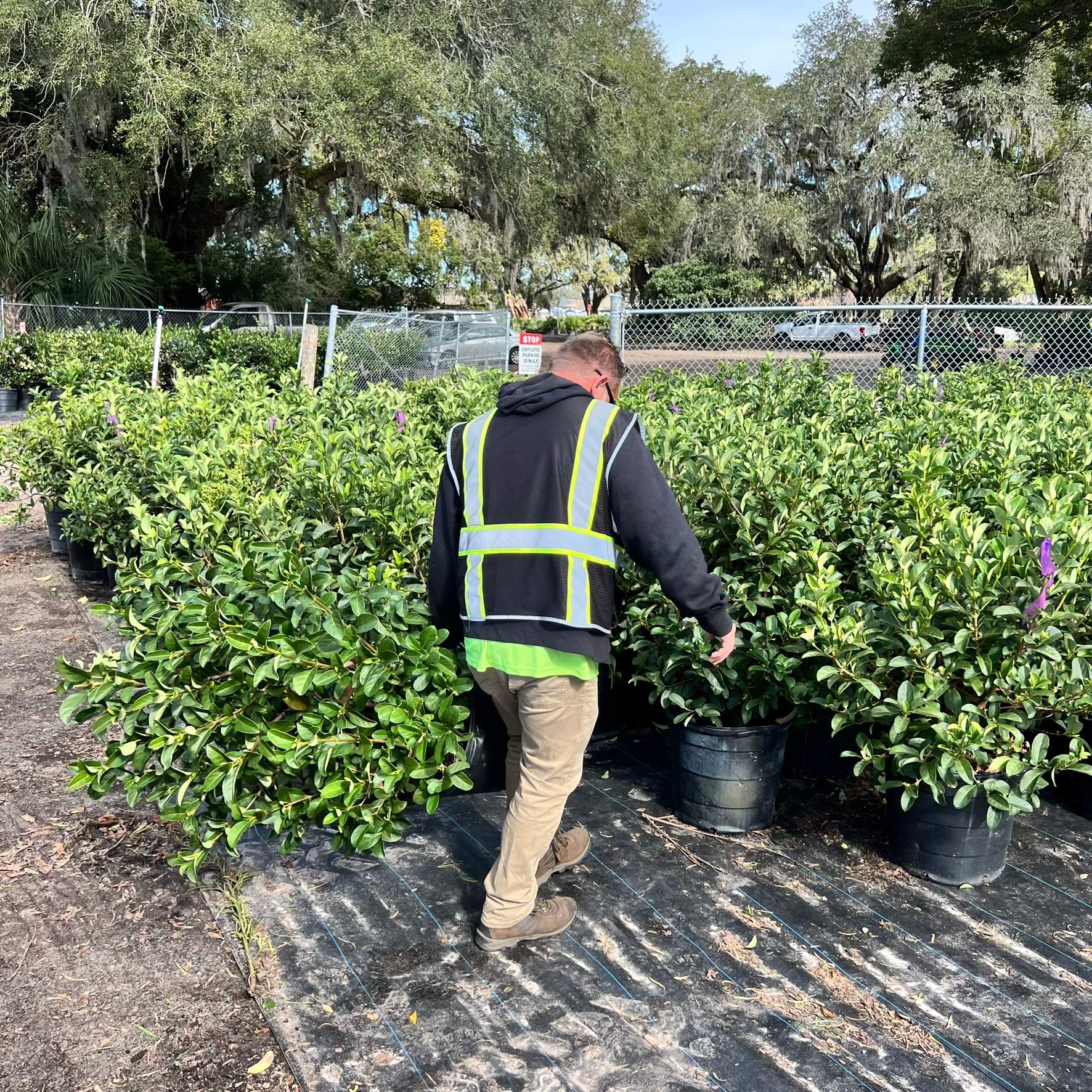 Landscape Install | Residence by ProGreen Services