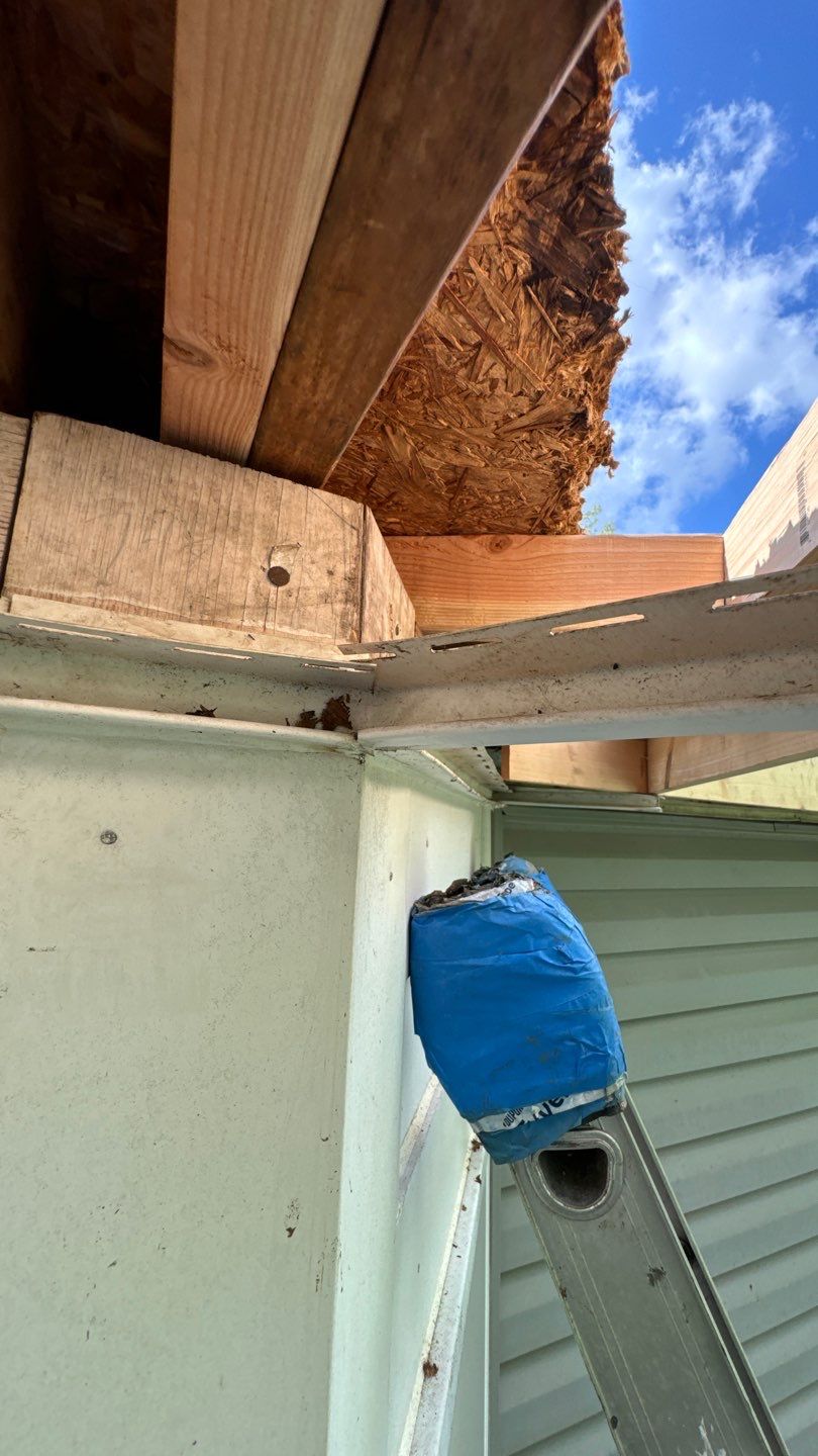 Alexandria: Residential Flat Roof Replacement with MuleHide TPO by RM Banning, Inc.