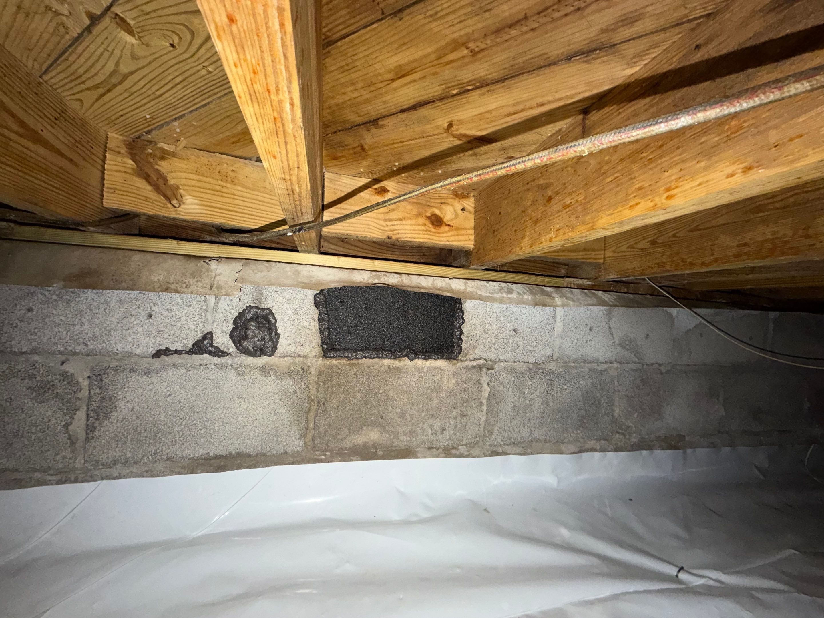 Project in Norfolk by Patriot Crawl Space Repairs