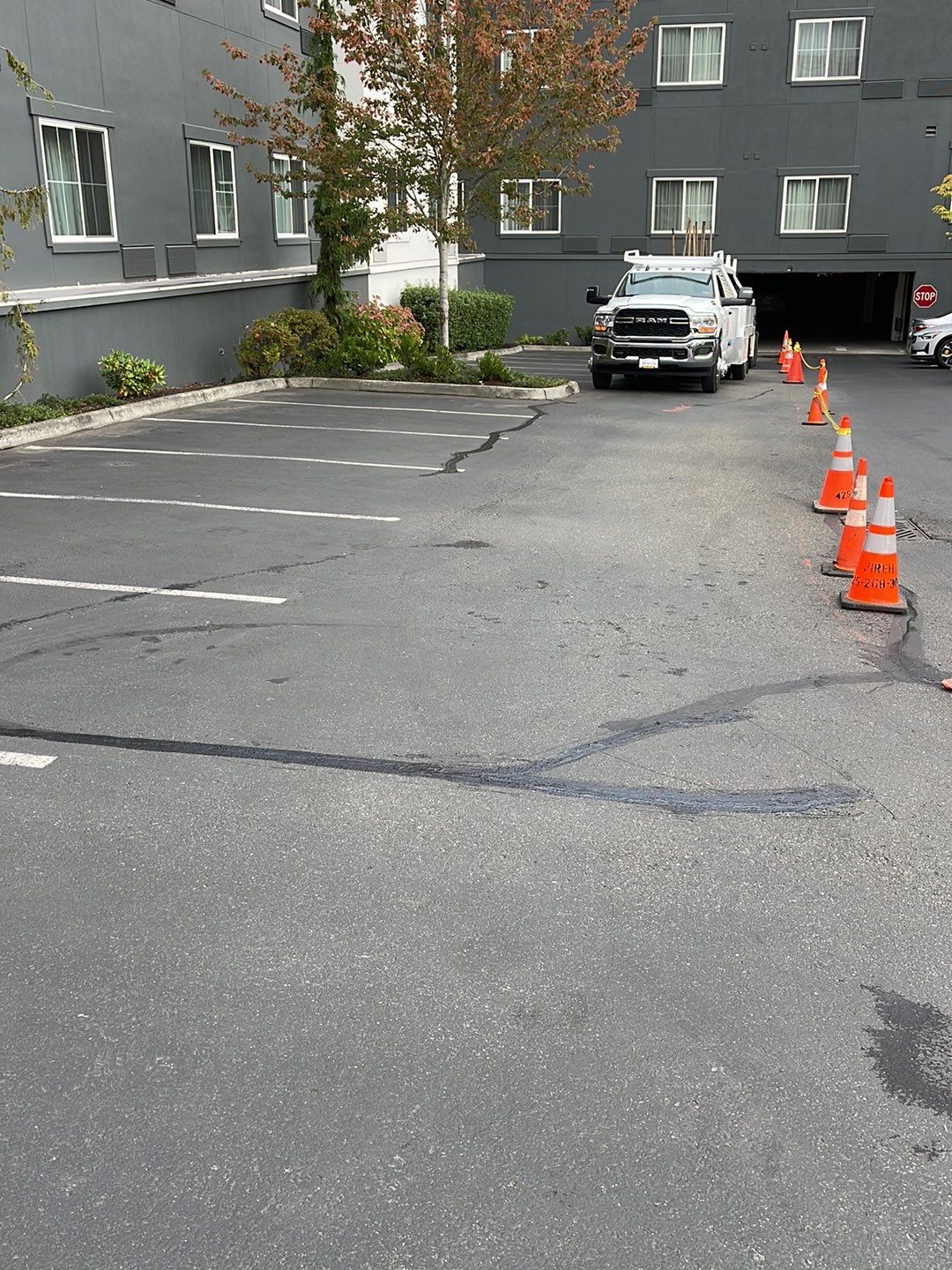 Maggie | Patch Repair, Sealcoating and Striping by Jireh Asphalt & Concrete Inc 