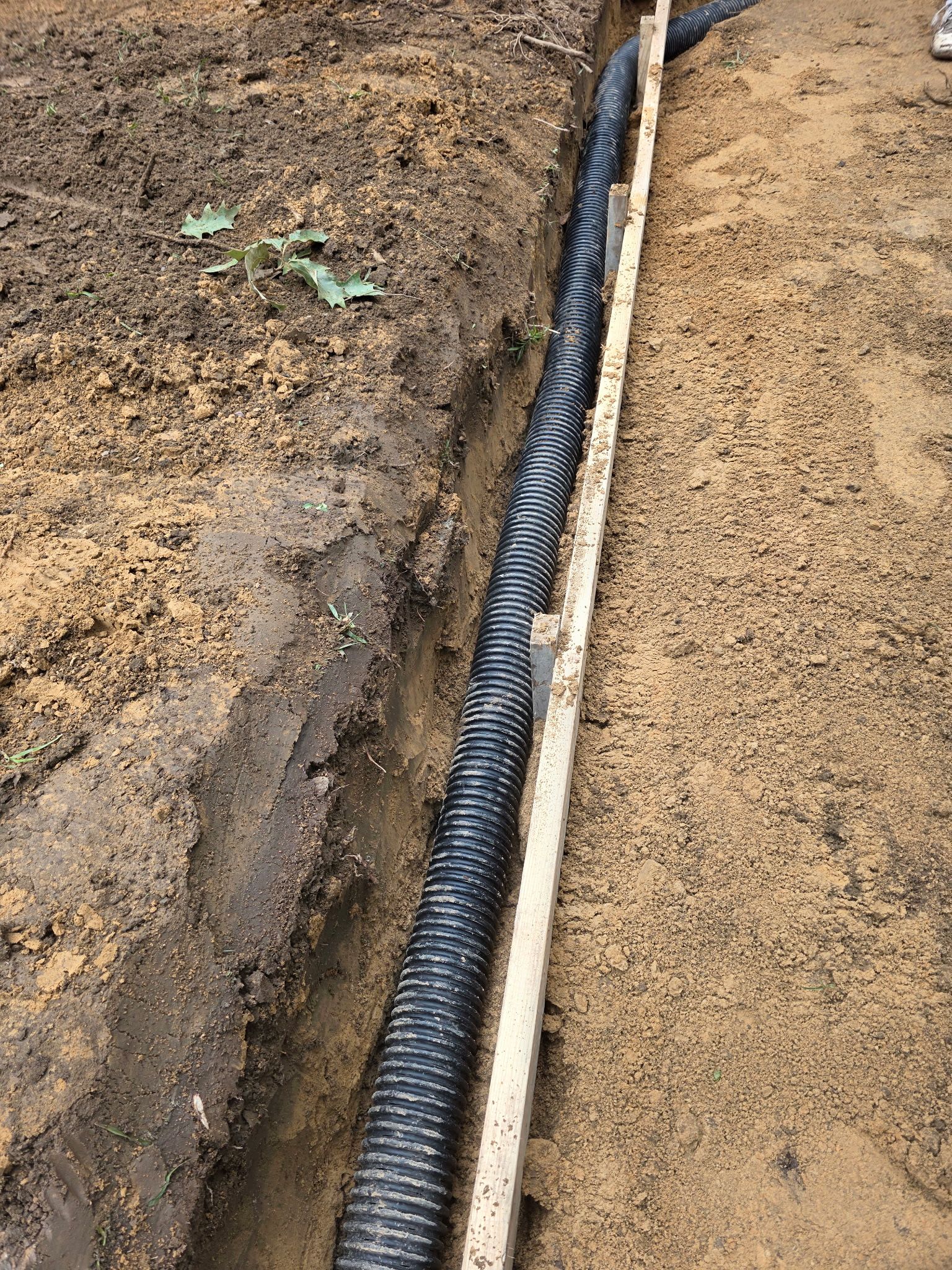 Patio in concrete with drainage improvements by Cornerstone Home Builders, LLC