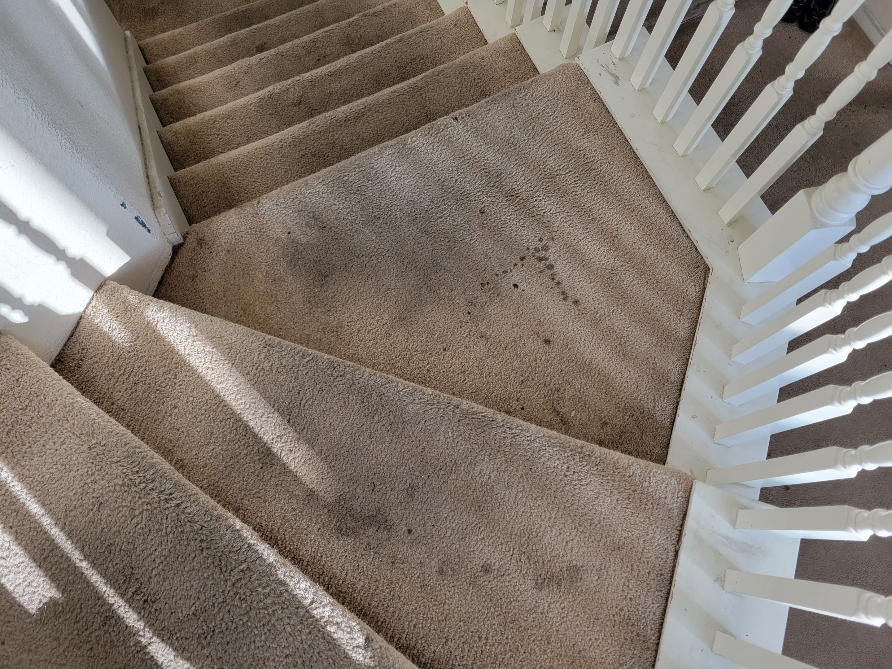 Cleaning Heavily Soiled Stairs and Entryway by Ardent Carpet Restore LLC