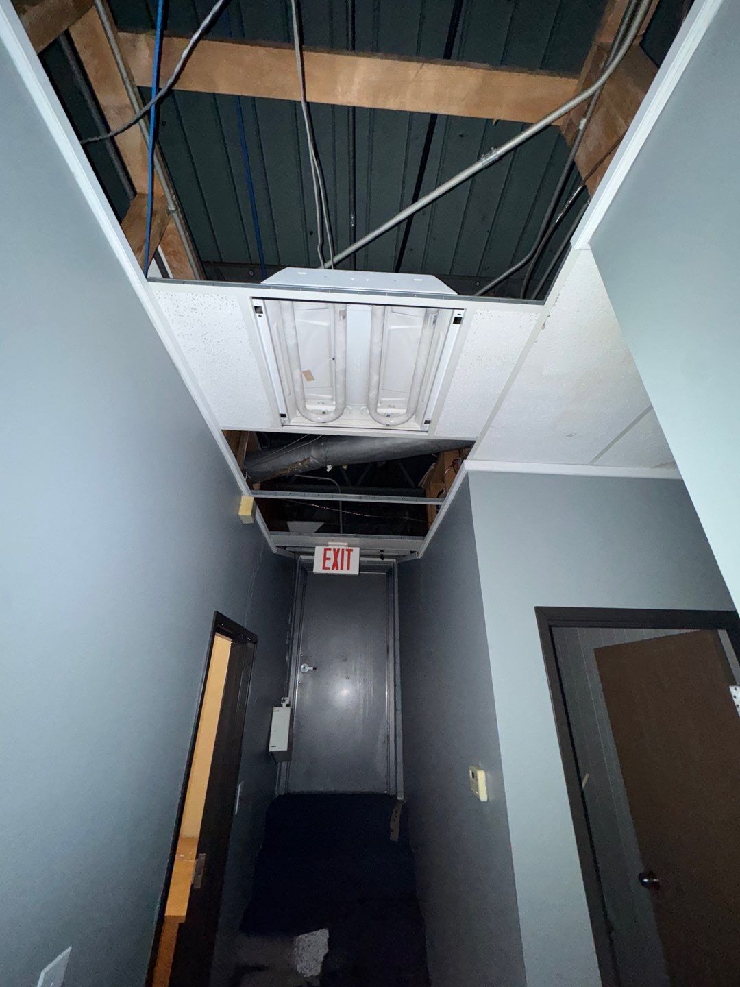 Project in Royal Oak by EzDry Water Mitigation & Property Restoration