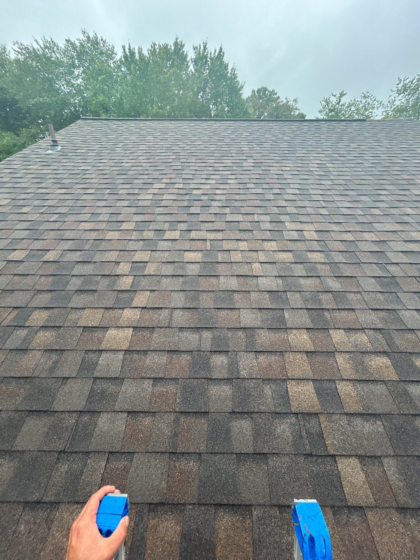 Springfield: Roof Replacement with Landmark Pro Designer Shingles in Max Def Shenandoah by RM Banning, Inc.