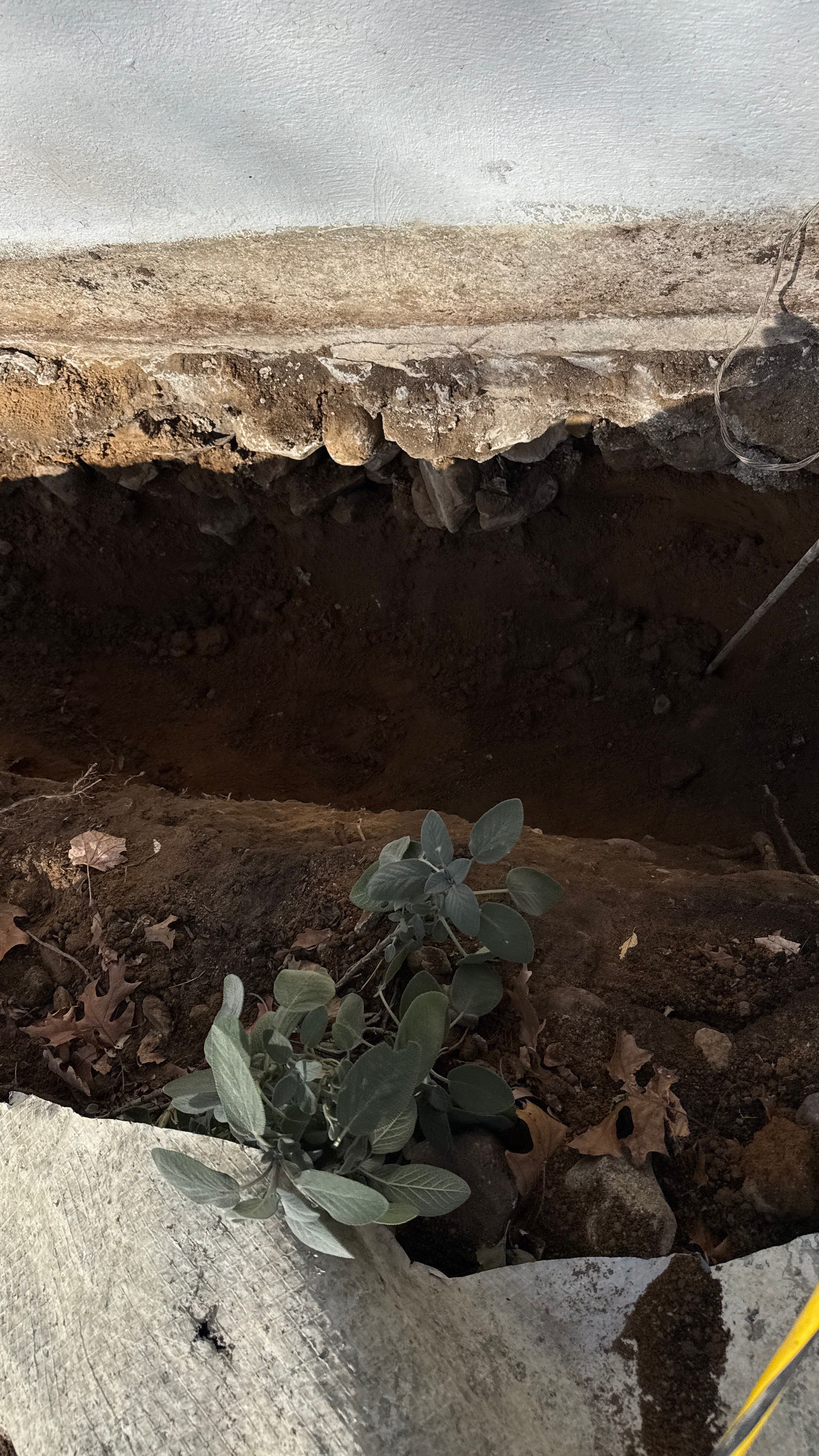 Basement Waterproofing & Foundation Wall Repair in Denville NJ by Pure Service Pro, LLC 