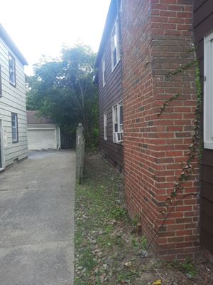 Tree Removal using Tree Removal