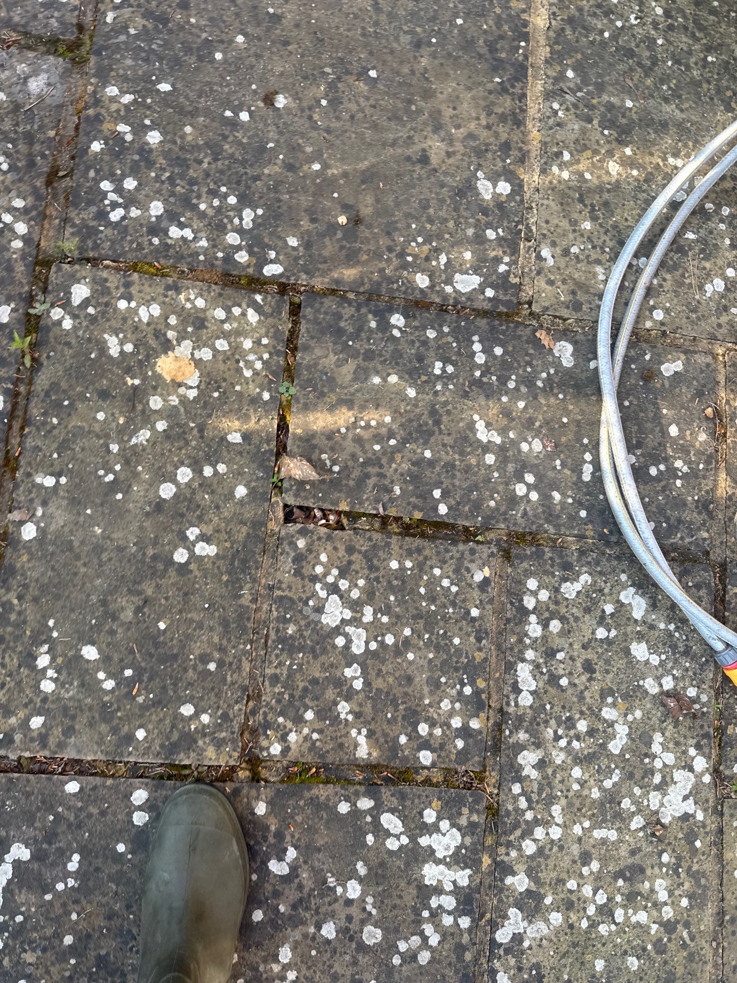 Patio Area Spring Clean using 18inch Whirlaway FSC by Ges Exterior Cleaning ltd