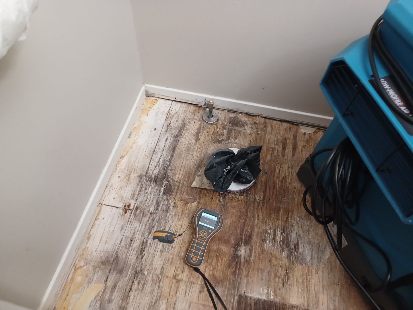 Project in West Bloomfield Township by EzDry Water Mitigation & Property Restoration