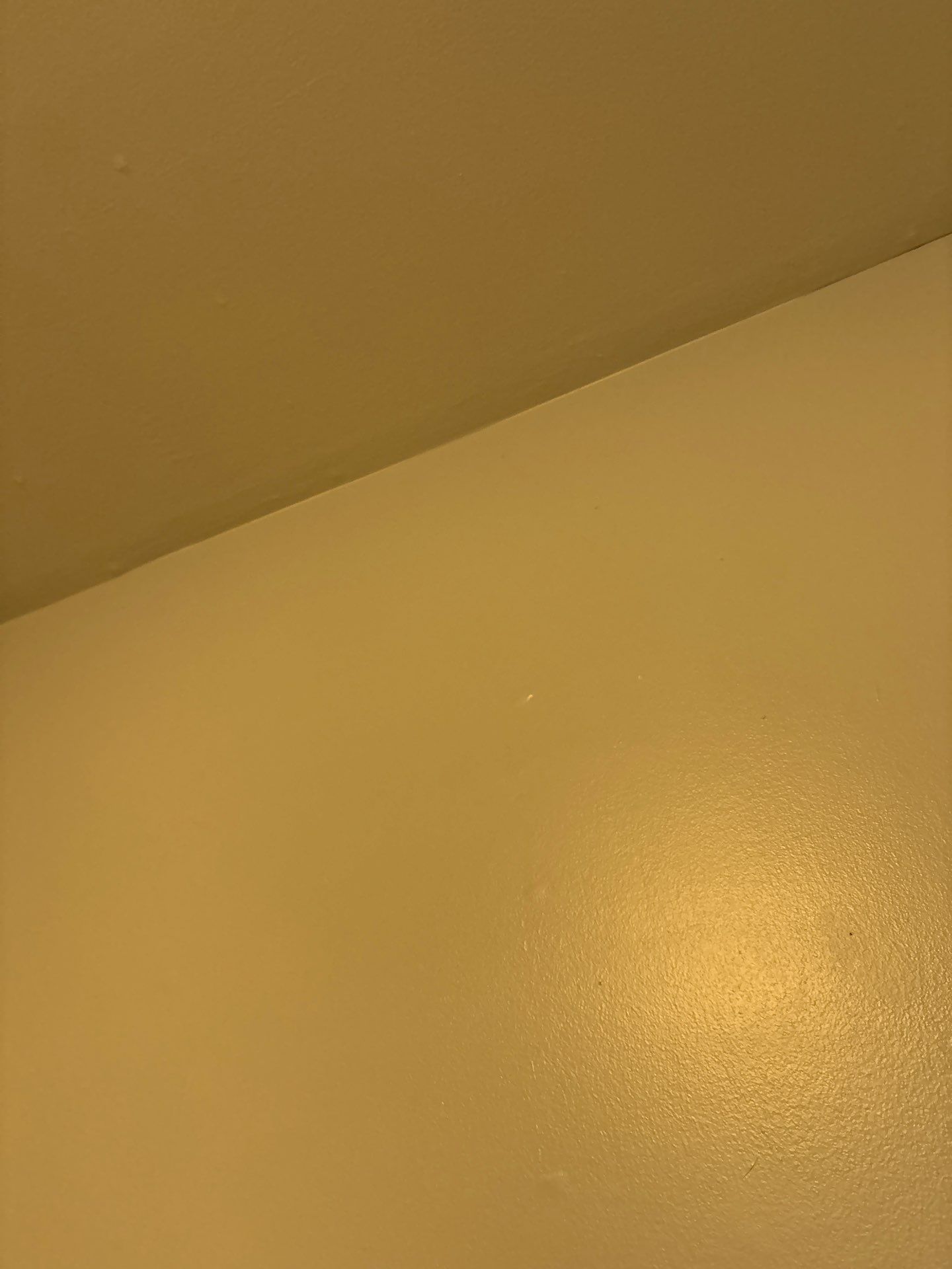 Interior Wall Refresh and Low Voltage Prep in Denver by CompanyCam Sales Demo