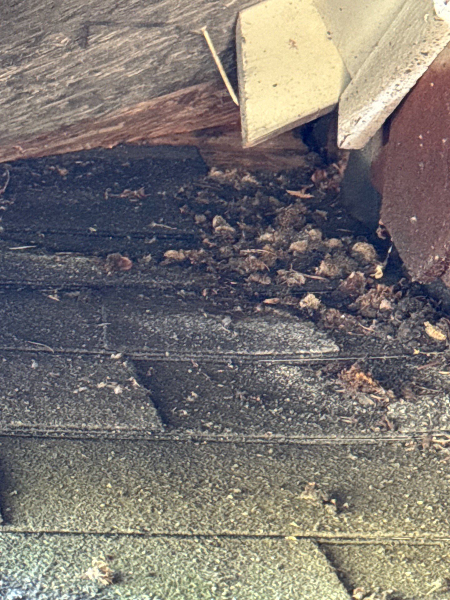 Project in Seattle by Connolly Construction Company