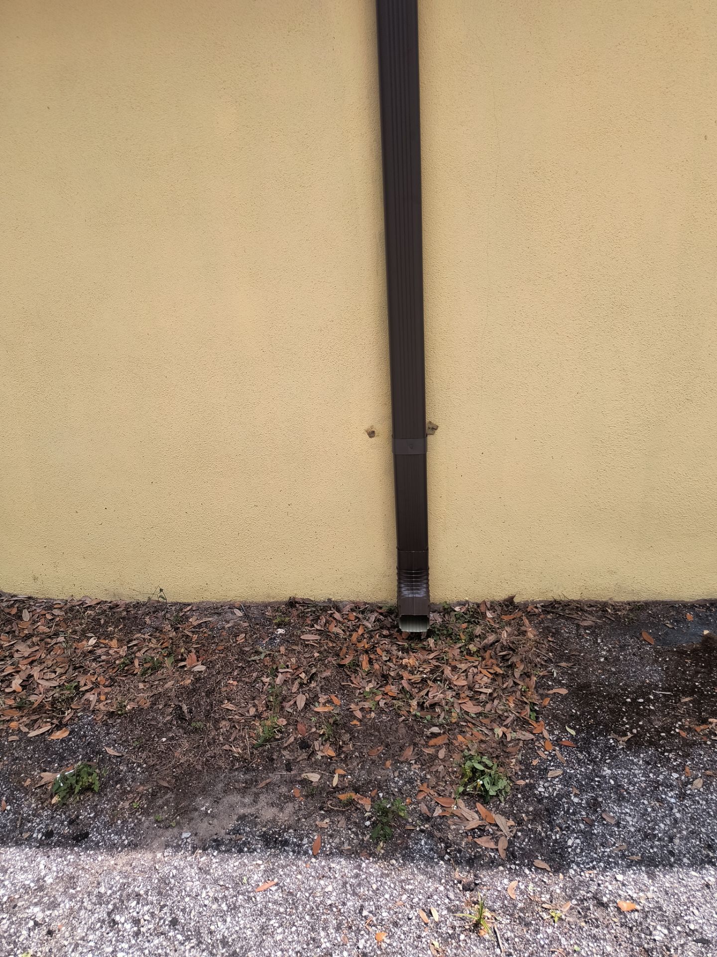 Musket Brown 6-Inch Gutters in Tampa FL by Gutter Professors