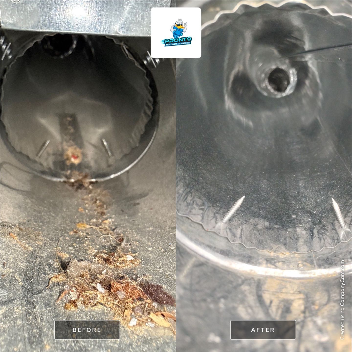 Pronto Air Duct Cleaning featured photo.