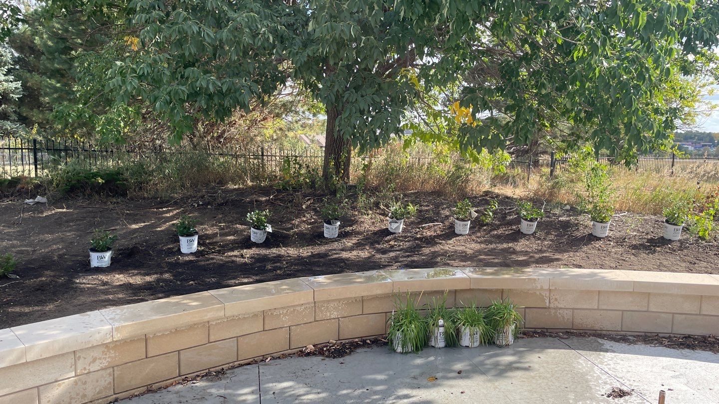 Landscape Bed Updates.  by New Horizon Landscapes