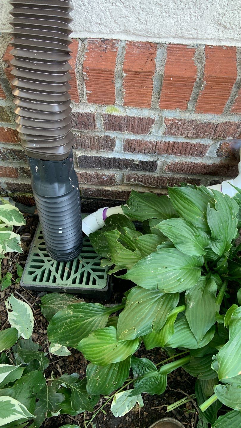 Last-Minute Waterproofing Saves Allison’s Closing by Waterproofing Northeast