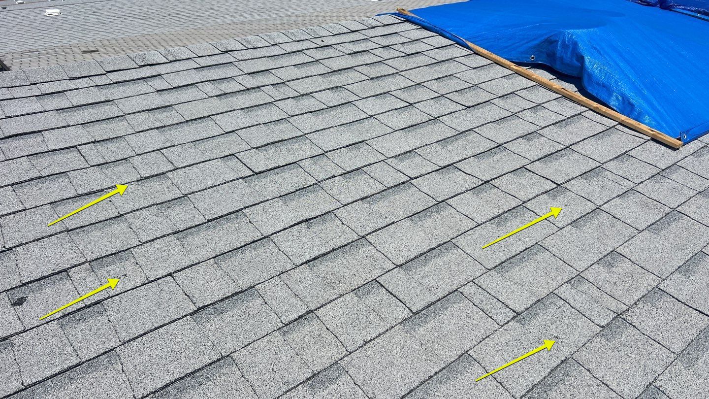 Estate Gray Shingles by Reimagine Roofing