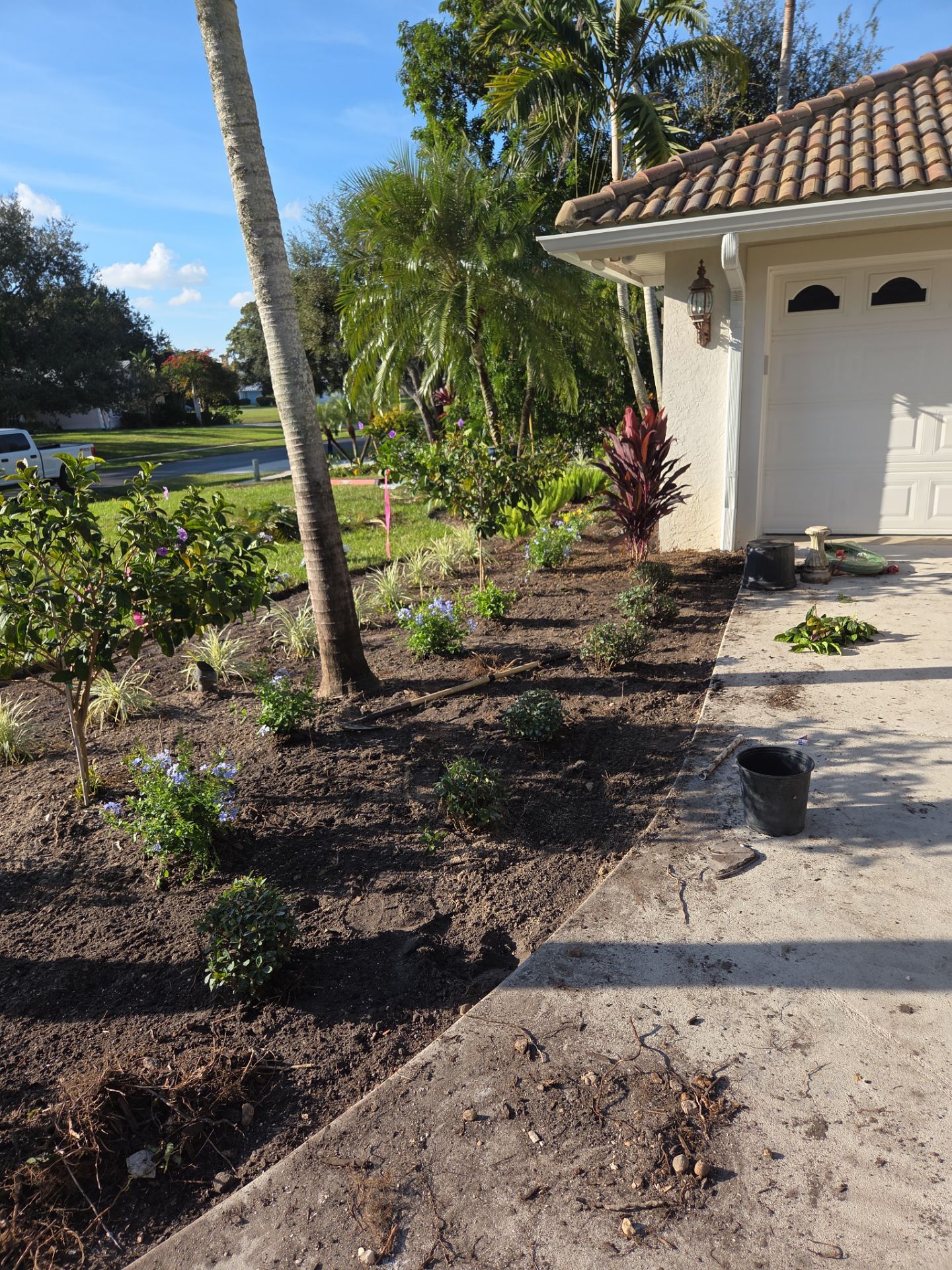 🌴 Landscape Removal and Install in Palm City by Alpha Zeta Enterprises Inc