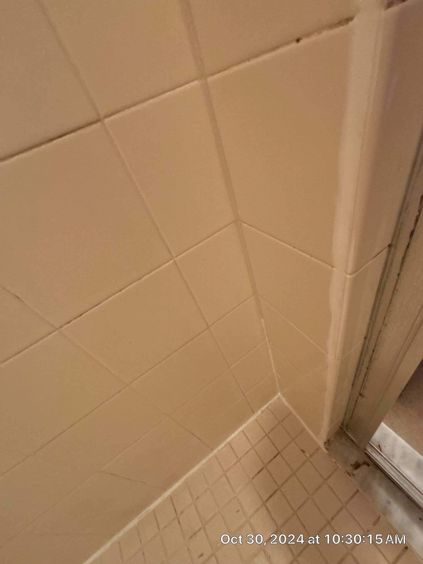Water Damage Removal & Restoration by Ampm Restoration Services
