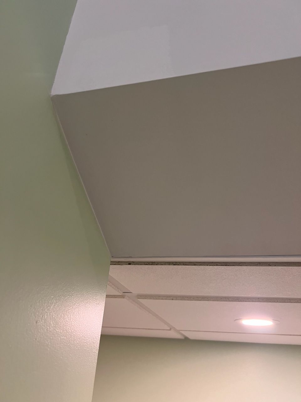 Basement and Bathroom Remodel by Ivy Lea Construction