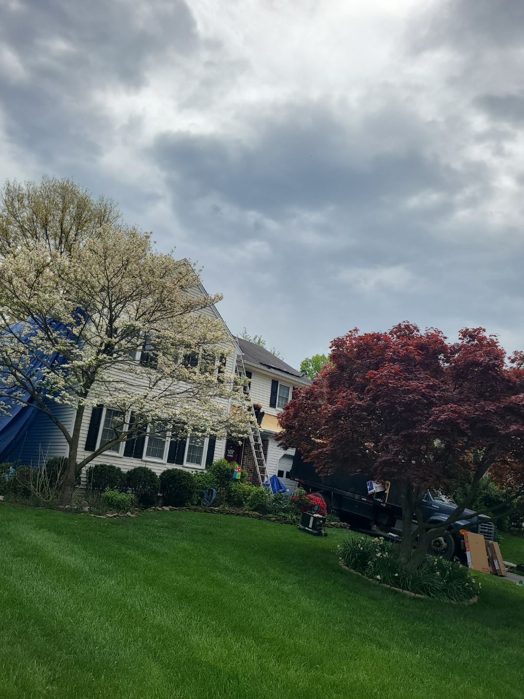 Vienna: CertainTeed Landmark Pro Designer Shingles in Max Def Moire Black by RM Banning, Inc.