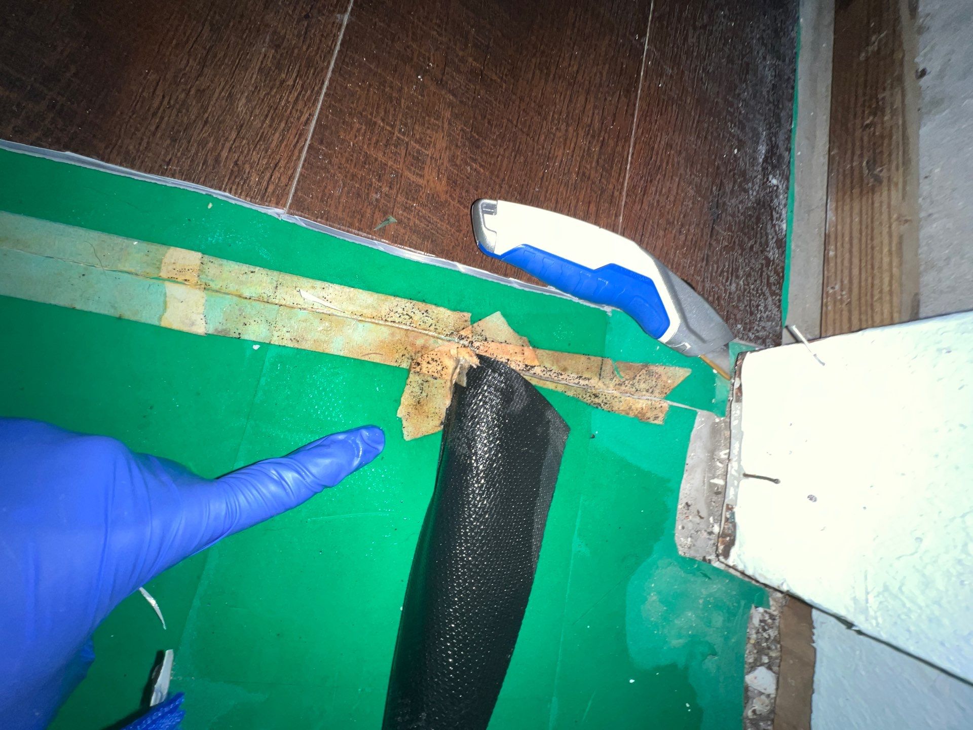 Stansell - water and mold photos  by THE RAPID TEAM