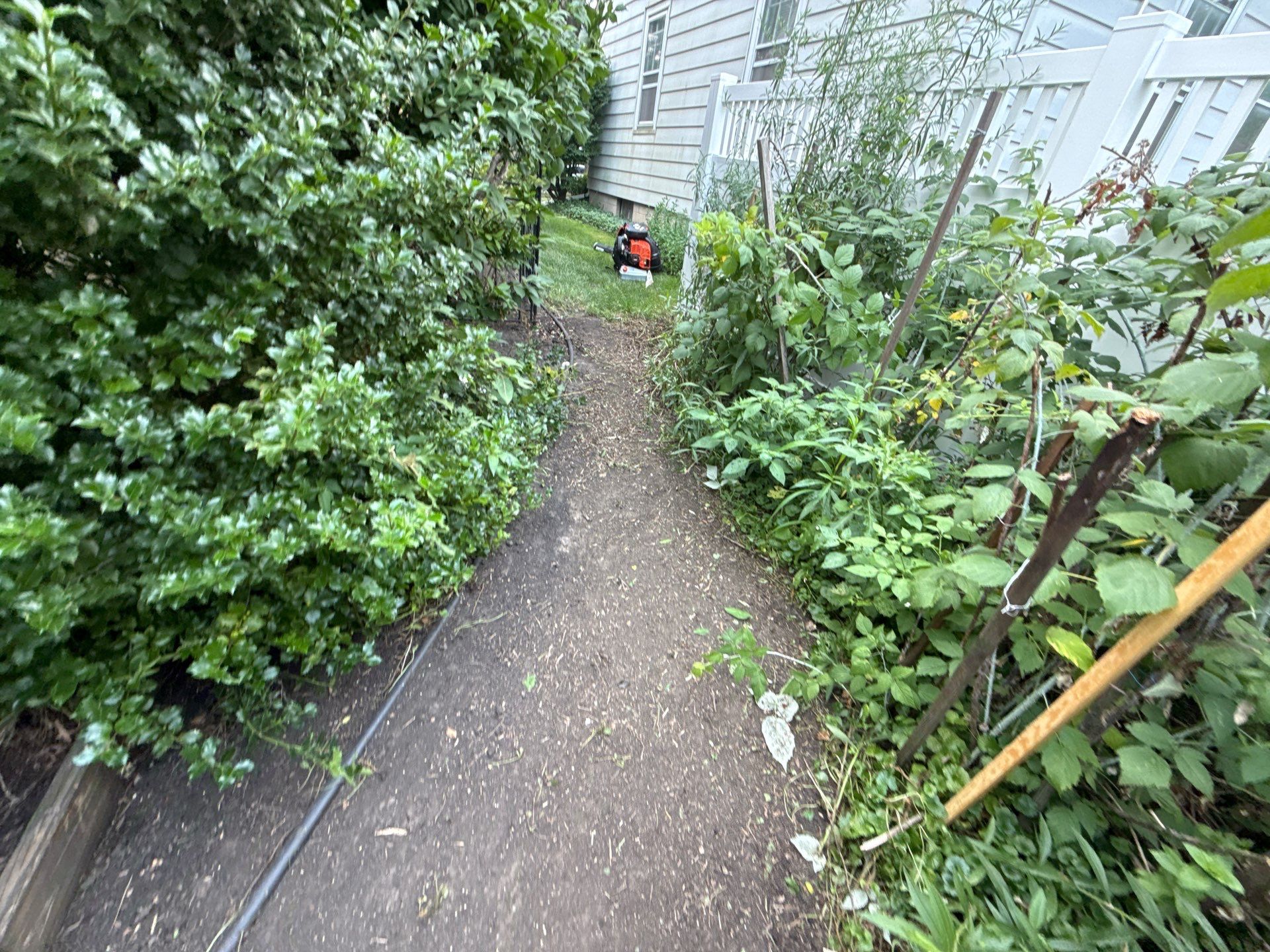 Donna L. - Arlington Heights, IL by A&N
