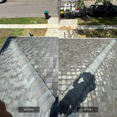 Shingle Roof Cleaning