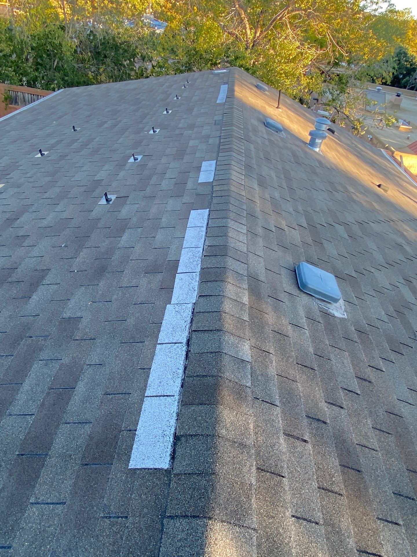 Desert Tan Shingles by Reimagine Roofing