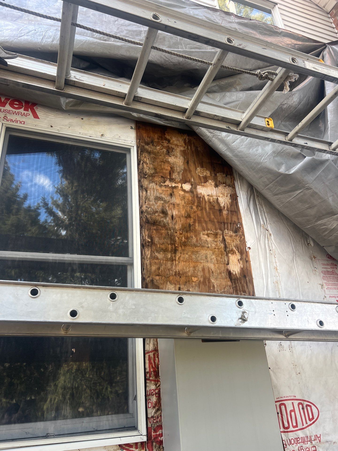 Johanna's Home in Newtown by Window Guardians