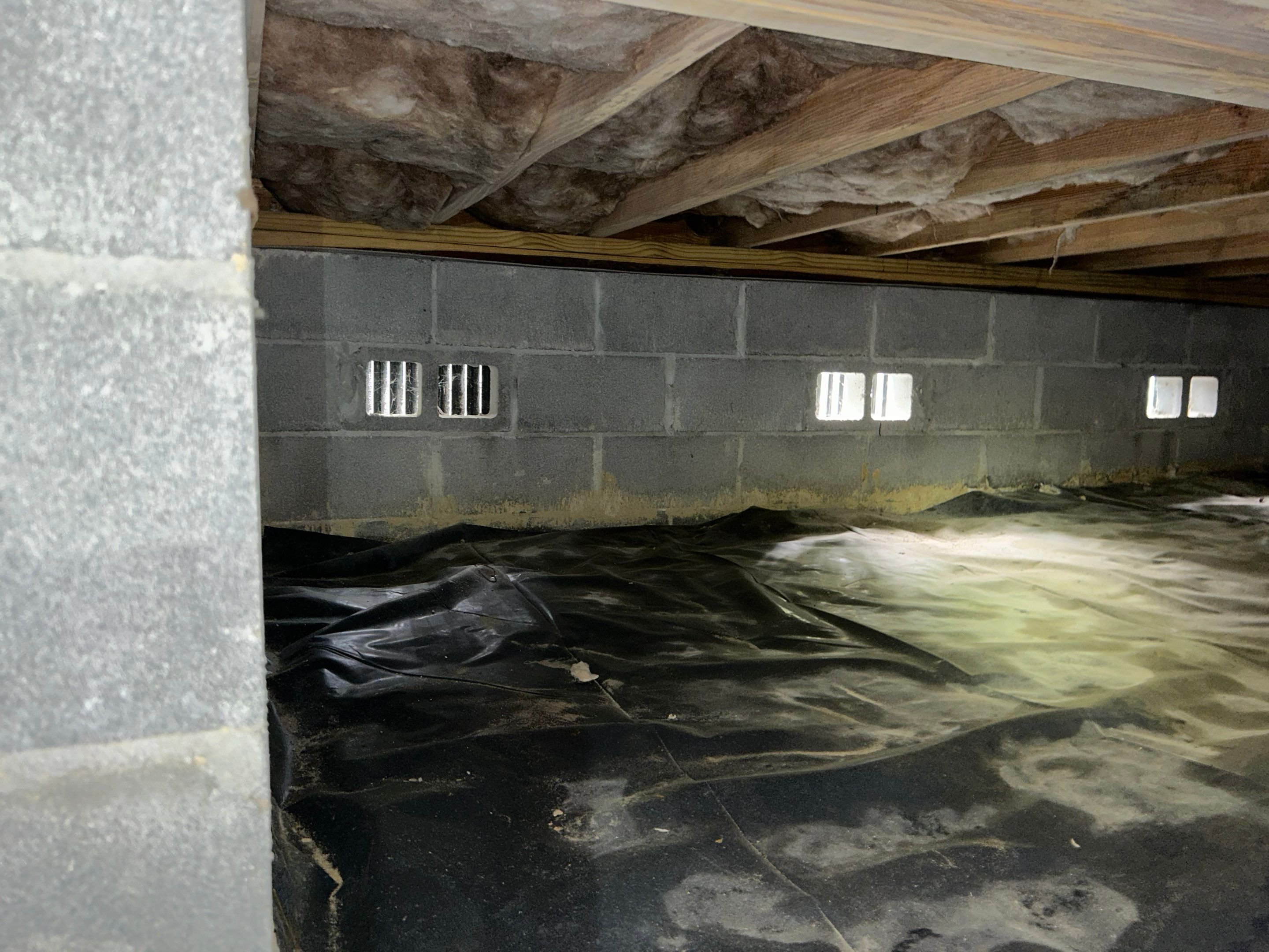Premium Encapsulation with 20Mil, Borafoam insulation and Light System. by Impact Crawlspace