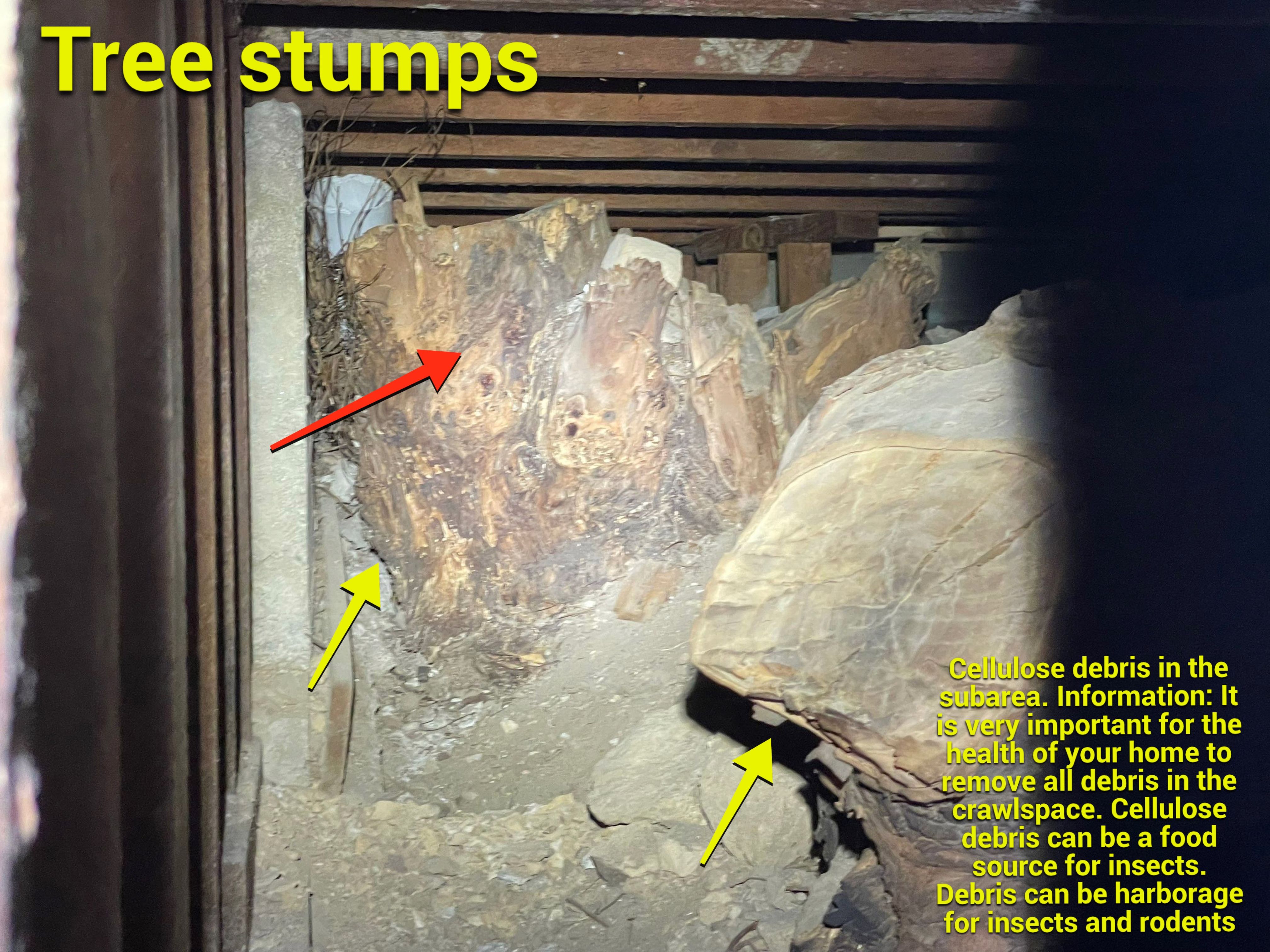 Wood Destroying Organisms Report by GLOBAL Termite Solutions