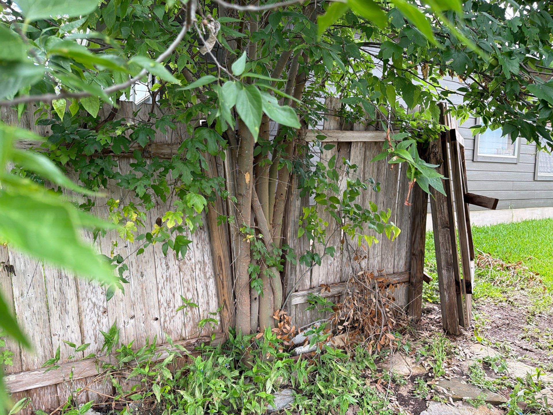 Cedar Privacy Fence Replacement with Steel Posts in Austin by Rhino Home Care