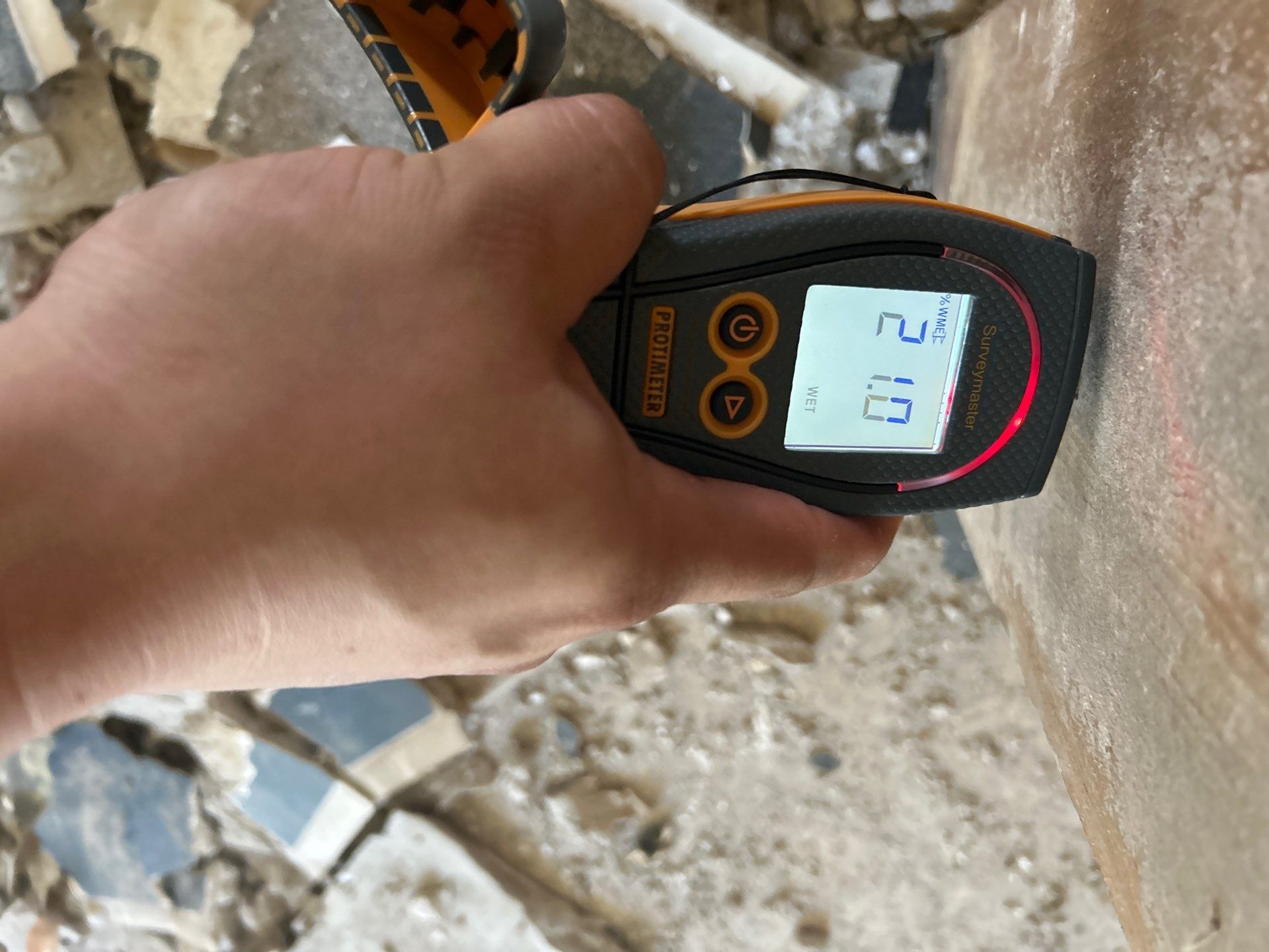 Sarasota Mold Remediation by Ampm Restoration Services